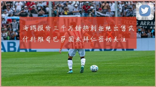 海鸥报价三千万镑热刺拒绝出售武什科维奇巴萨国米拜仁密切关注
